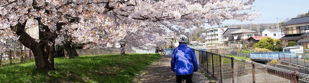 武蔵村山市の中小企業向け採用課題を解決｜採用サイト制作で人材確保をサポート